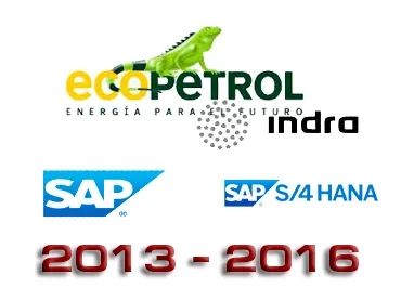ProyectosSAP Oil & Gas - Ecopetrol